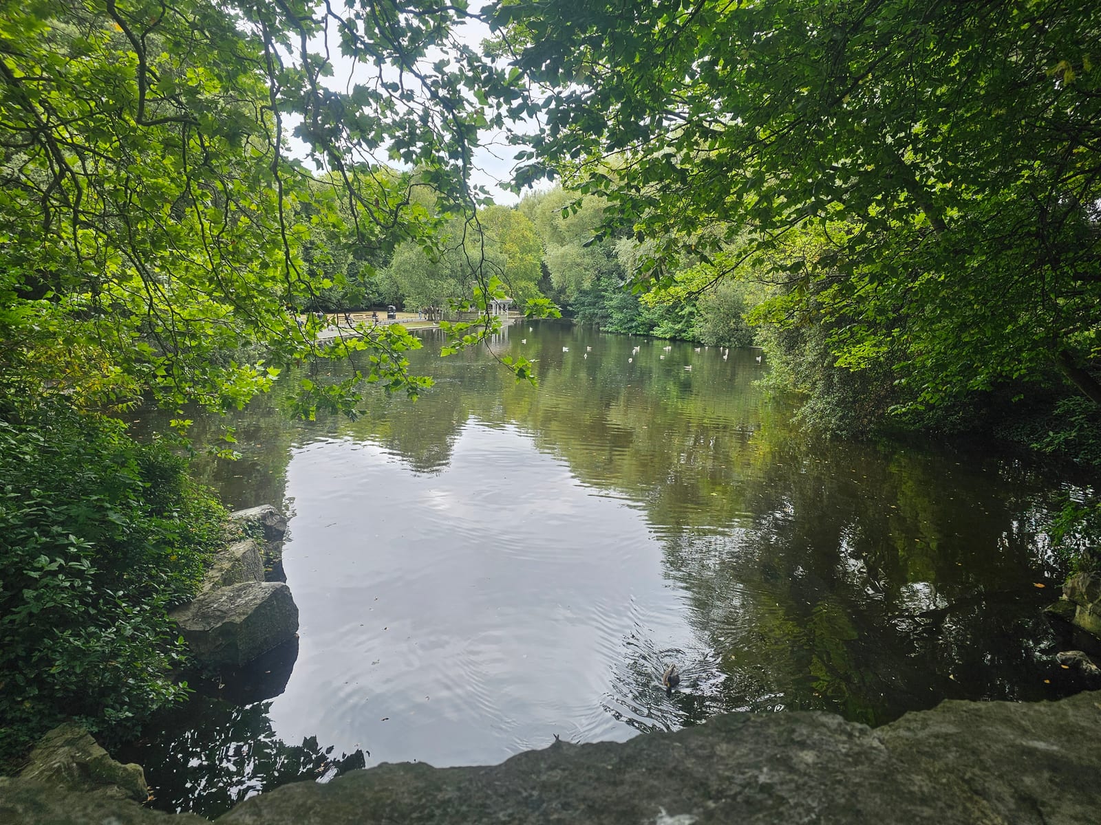 Ireland, photo 10 of 126
