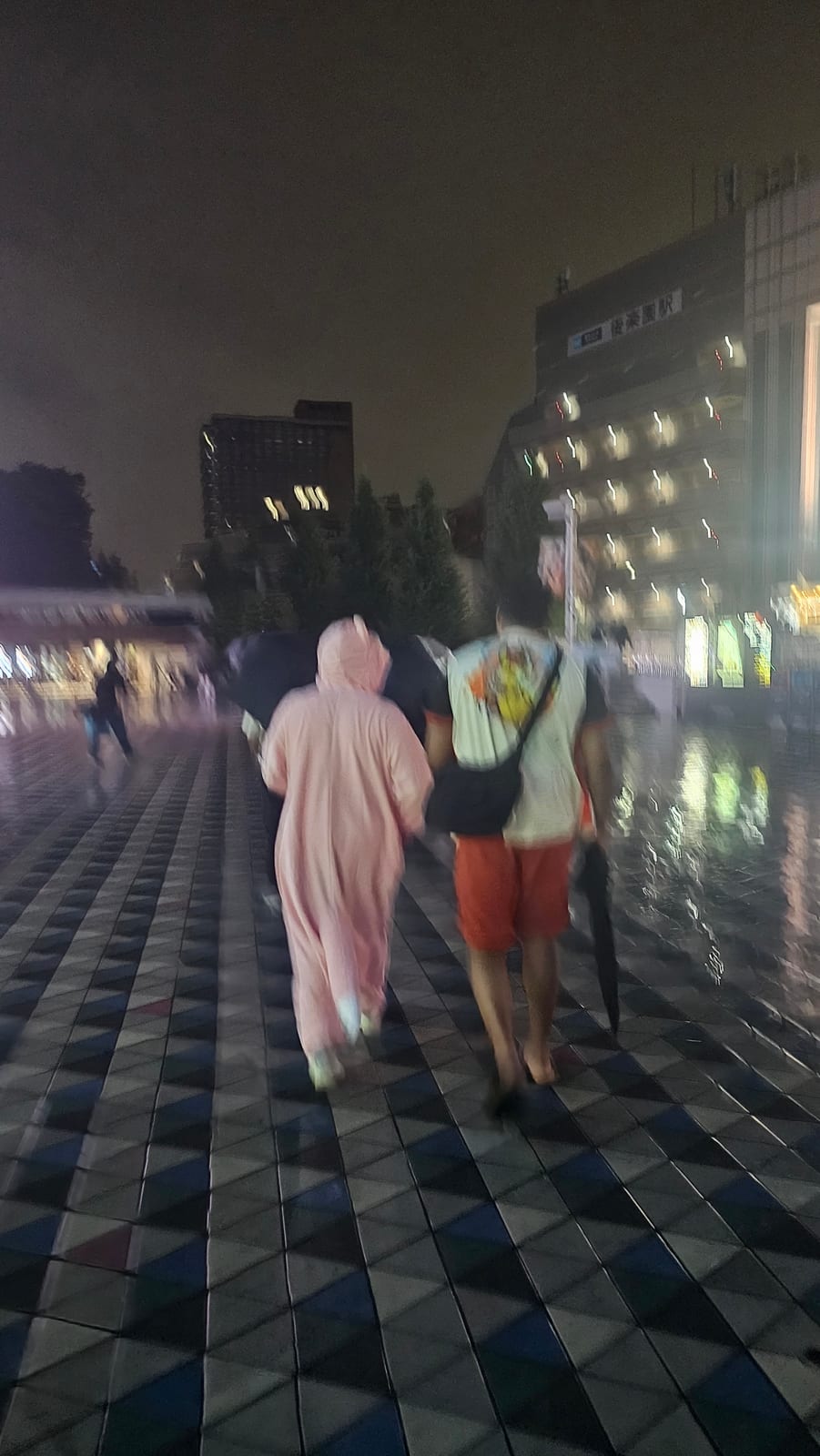 Japan, photo 169 of 211