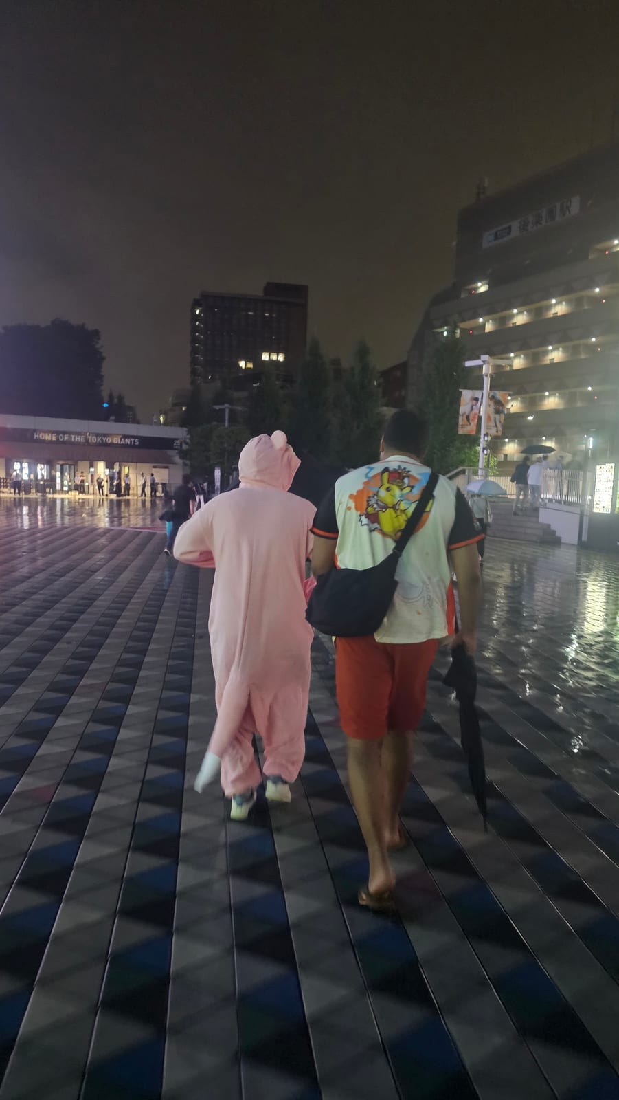 Japan, photo 170 of 211