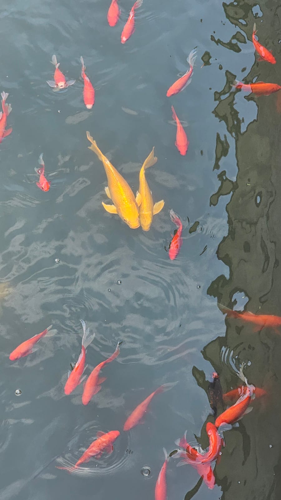China, photo 59 of 359