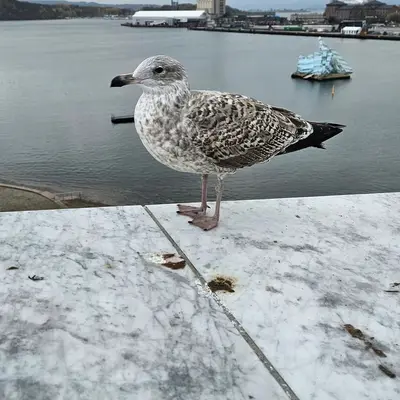 Norway, photo 69 of 156